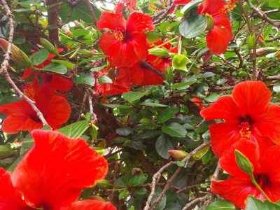 IMG-20260616-WA0005