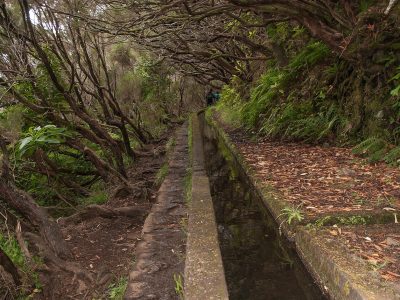 levada Nova 2